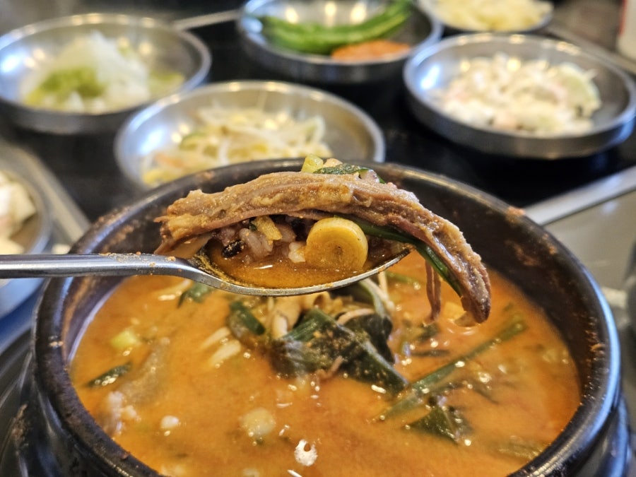 보양식119 사진 6