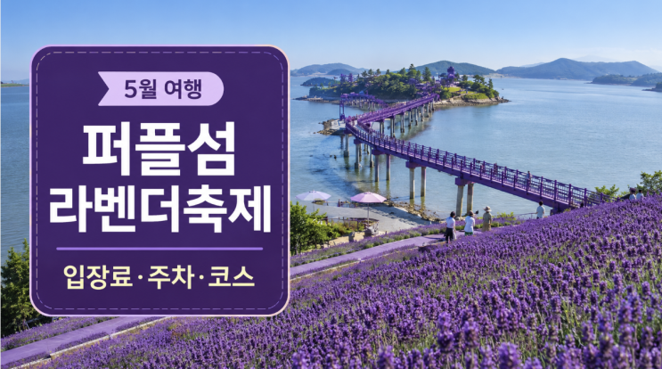  신안 퍼플섬 라벤더축제 입장료 주차 코스