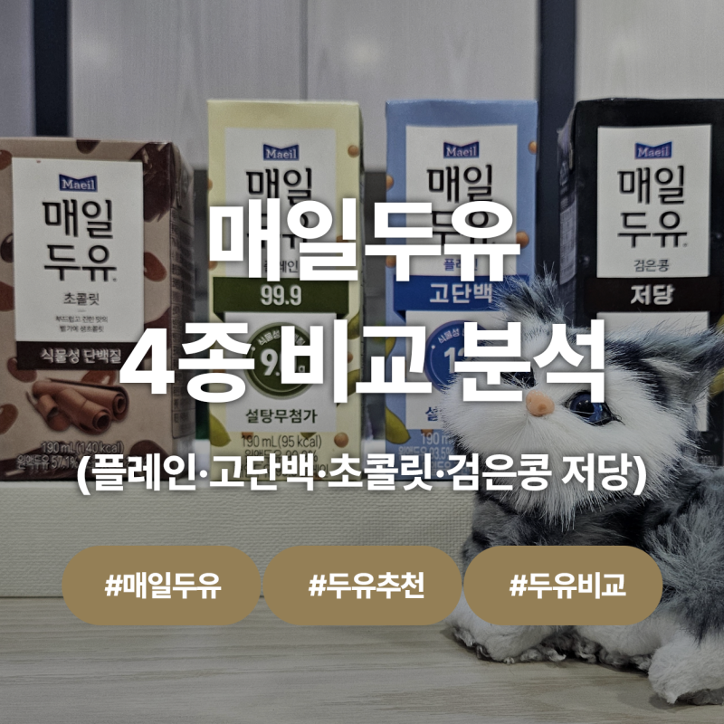 매일두유 4종 직접 마셔본 후기, 맛·칼로리·단백질 차이 확실했다