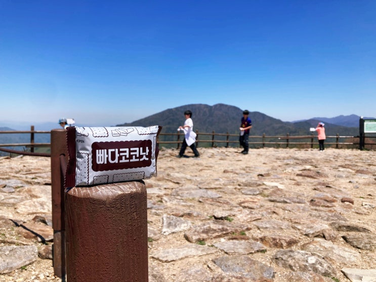  지리산 노고단.. 모든 것이 완벽했던 봄의 막바지 산책