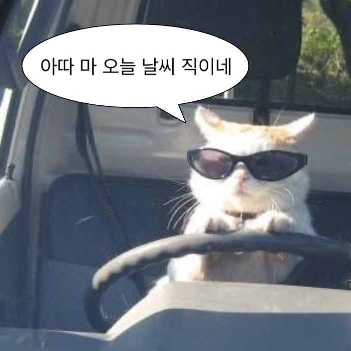 26년도 1종보통 운전면허 갱신 및 방문예약 방법 | 적성검사 (강남운전면허시험장)