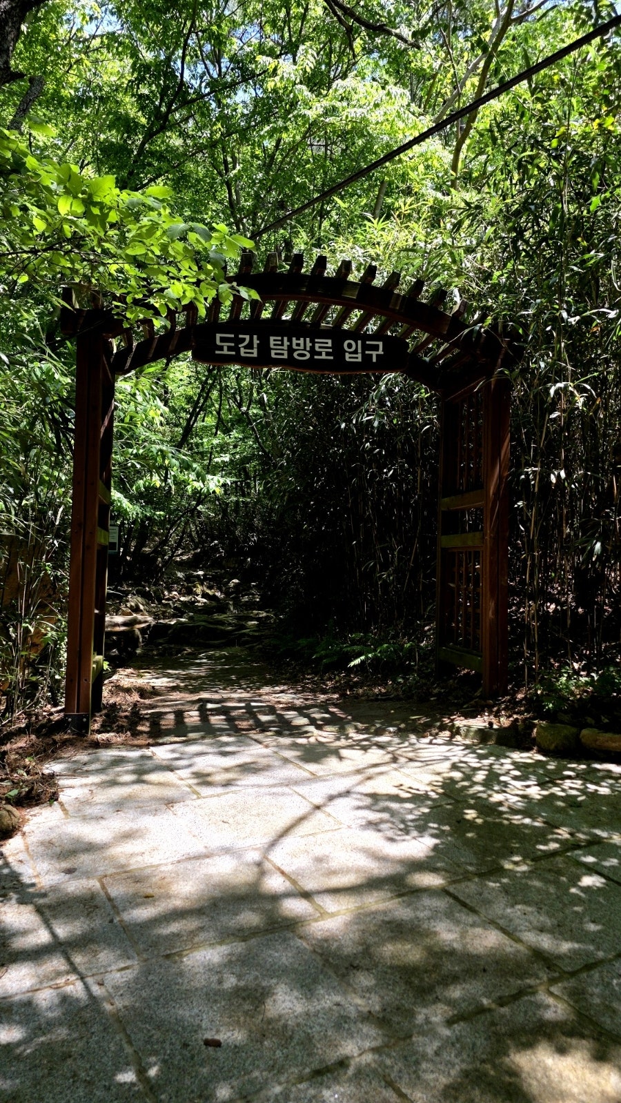 토지삼계탕 사진 5