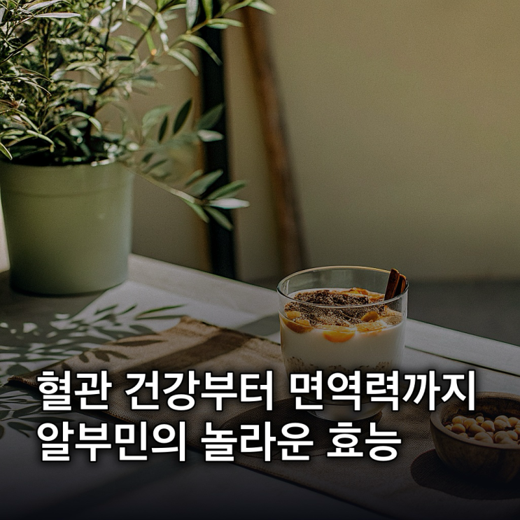  알부민 효능, 혈관 건강부터 면역력까지 5가지 핵심 정리
