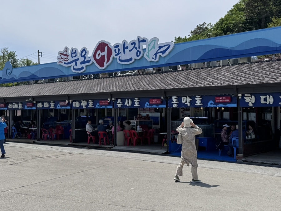 동막호 사진 4