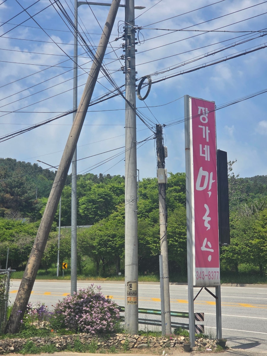 장가네막국수 사진 2