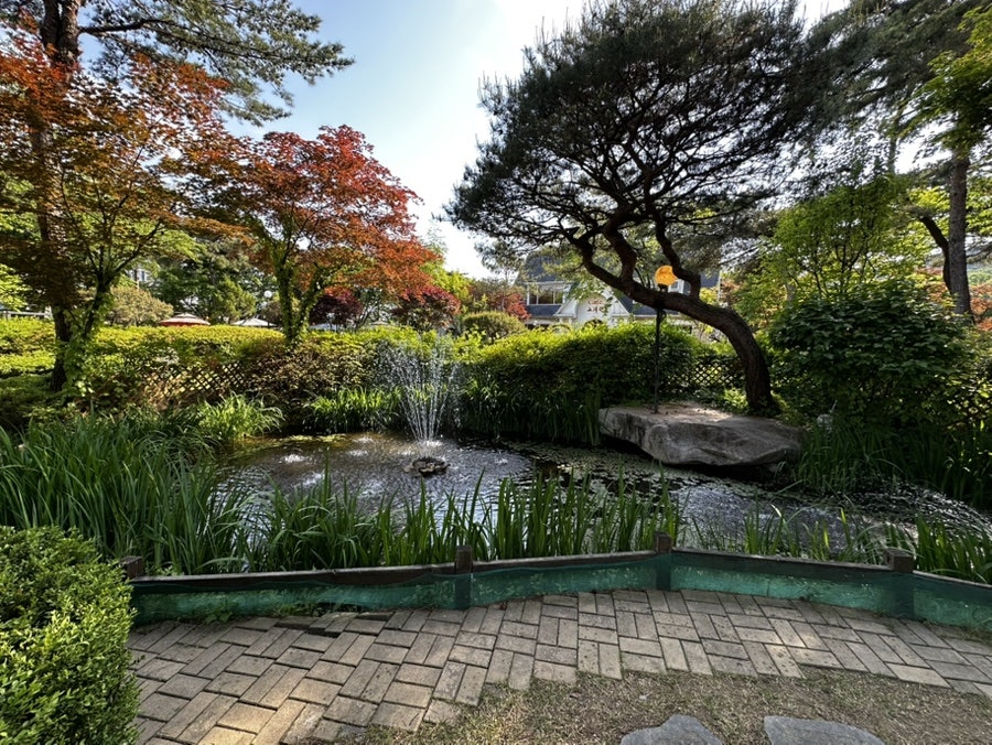 고려원 사진 6