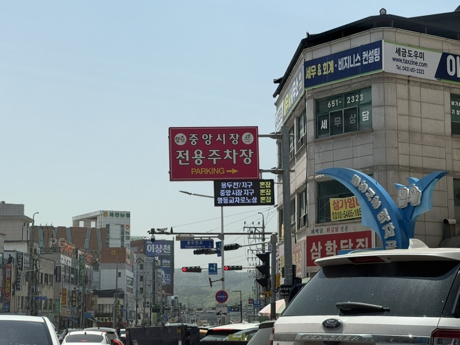 담담 사진 5
