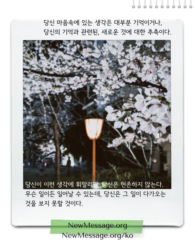  생각에 휘말리면, 당신은 현존하지 않는다