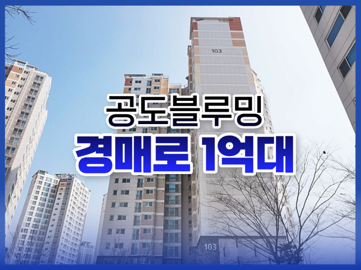  안성아파트매매보다 저렴하게 나온 경매, 공도블루밍