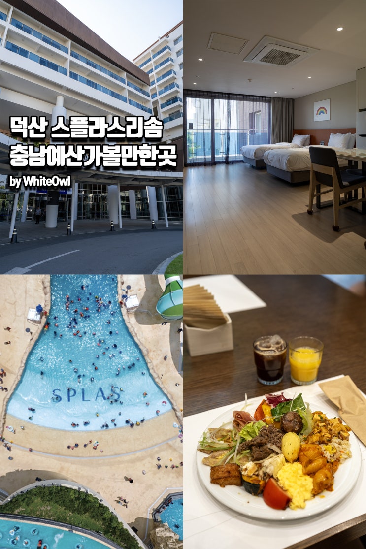  충남 예산 가볼만한곳 덕산 스플라스 리솜 S20 객실 조식 뷔페 총정리