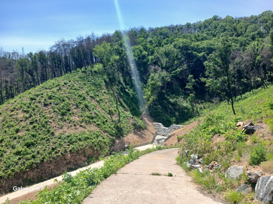 보광산 사진 2