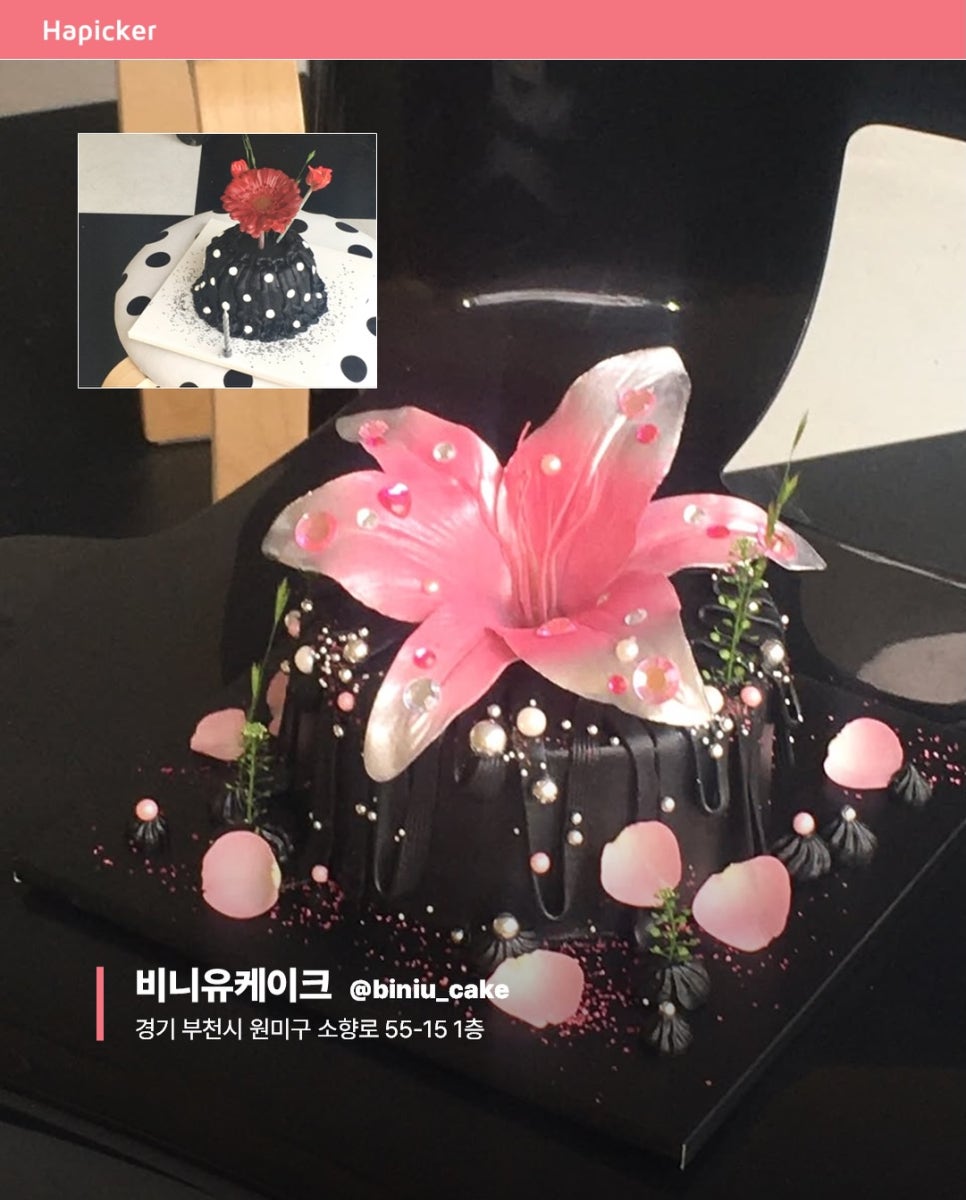 드뮤어 사진 6