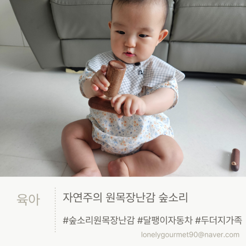 8개월 아기 천연 자연주의 원목장난감 숲소리 두더지 가족찾기 구강이 아기 입에 물어도 안....