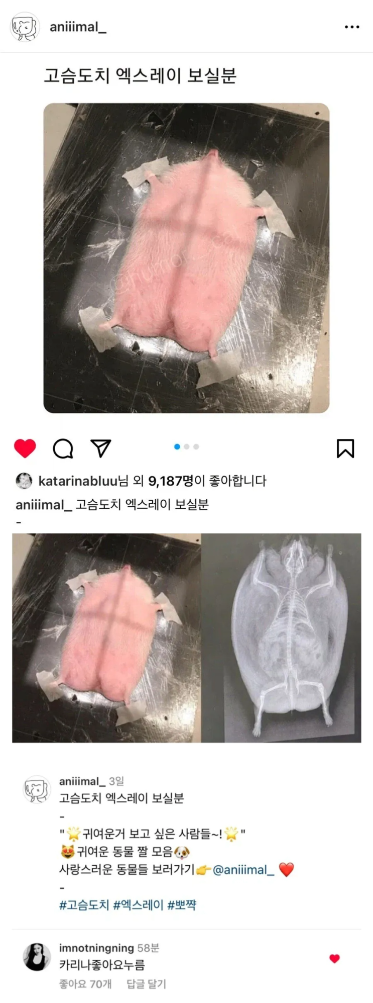  카리나가 좋아요 누른 인스타 글