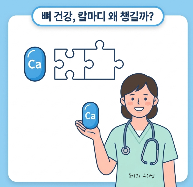 칼슘 마그네슘 비타민D 영양제, 뼈 건강에 도움되는 이유(칼마디)