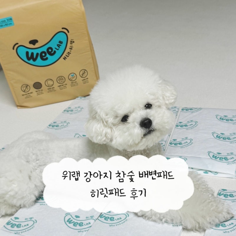 위랩 강아지 참숯 배변패드 히릿패드 후기