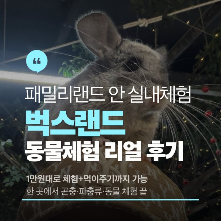  광주 아이랑 실내동물체험 어디갈까? 벅스랜드 추천후기