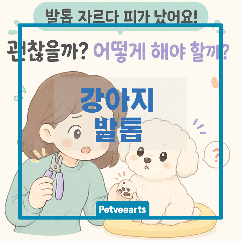 강아지 발톱 자르다 피 났을 때 : 지혈부터 산책 재개까지 단계별 대처법