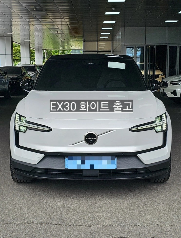  창원 볼보 EX30 화이트 / 미스트 시트 출고 볼보 창원 이재훈 대리