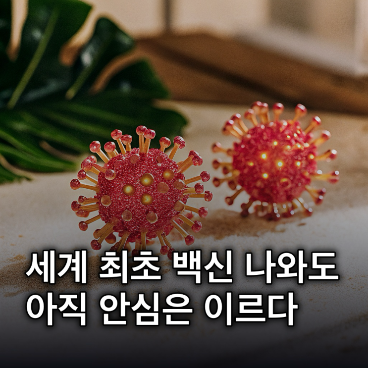  한타바이러스 총정리: 증상, 치사율, 예방 수칙, 백신
