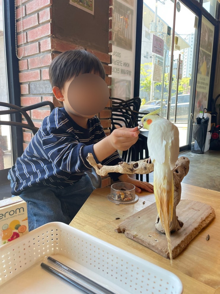  김해 율하 아이와 가기 좋은 잔디네 앵무새카페 먹이주기 체험 후기
