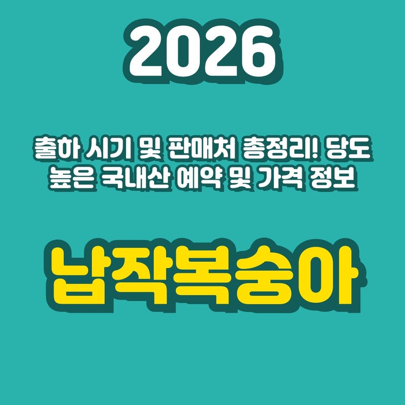 납작복숭아 처음 사는 분 필독! 2026년 가격, 보관법, 품종 완벽 분석으로 실패 없이 가장 맛있....