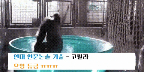  릴라야, 생각이 있니? 연대 인문논술 기출 변형문제