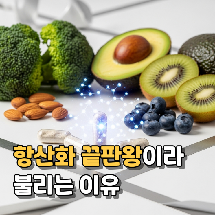  알파리포산 효능 부작용 섭취방법 총정리 | 혈당·항산화·중금속 해독까지 한 번에