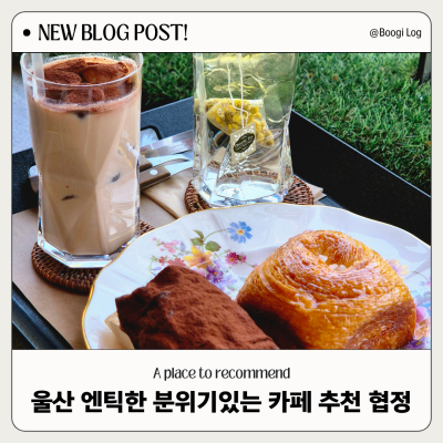 성안동 카페 추천 엔틱하고 분위기있는 감성카페 협정