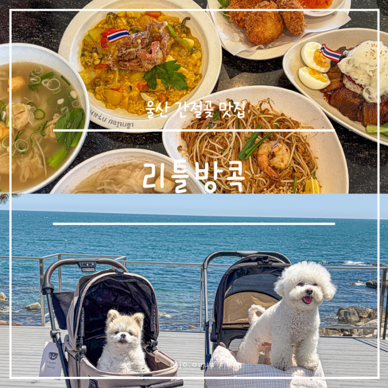울산 간절곶 맛집 리틀방콕 애견동반 오션뷰 태국음식 맛집