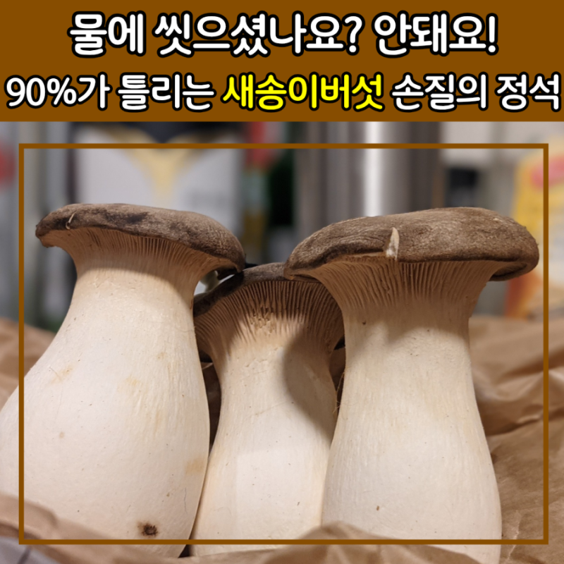 ✍️ 새송이버섯의 모든 것: 고르는법부터 보관, 손질까지!