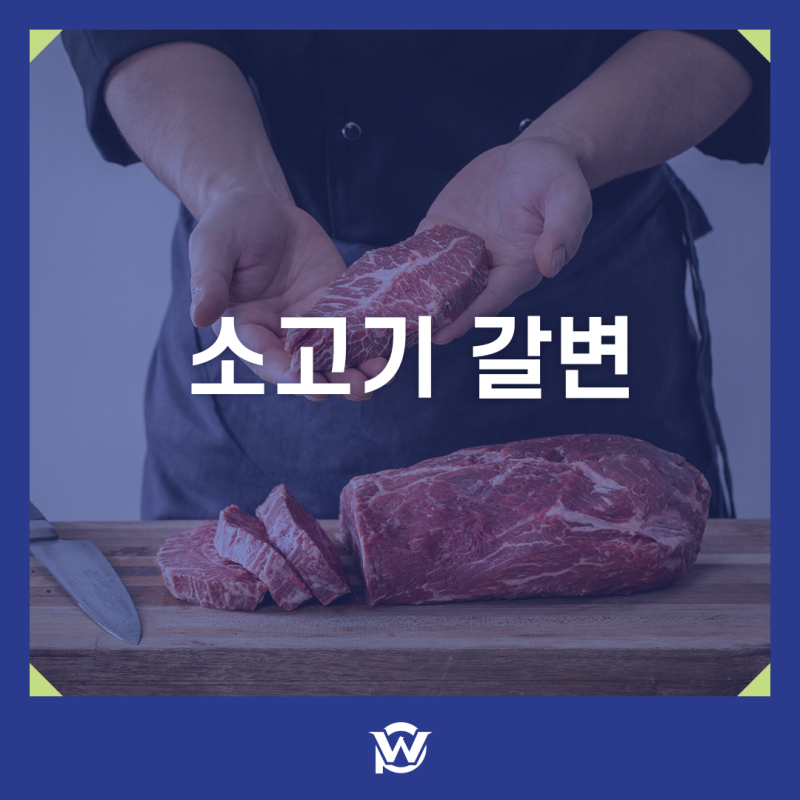소고기 갈변 왜 생길까 원인부터 보관 팁까지 정리