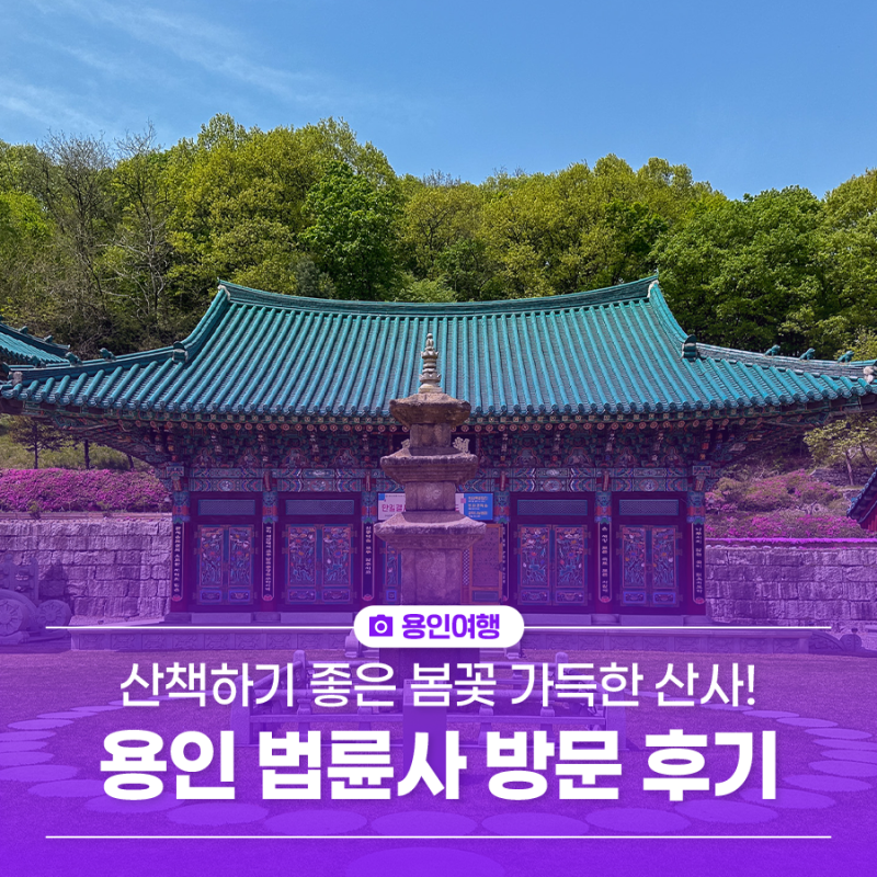 용인 법륜사 산책하기 좋은 곳 웅장한 대웅전과 봄꽃이 가득한 산사