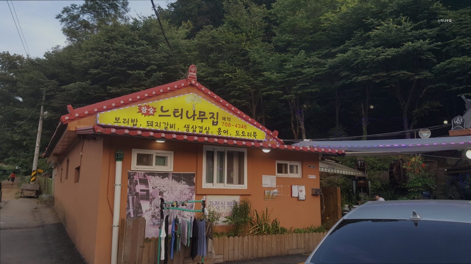 느티나무집 사진 1