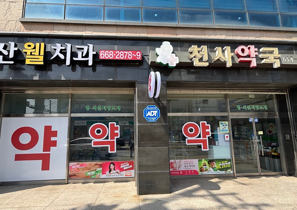 천사약국 사진 3