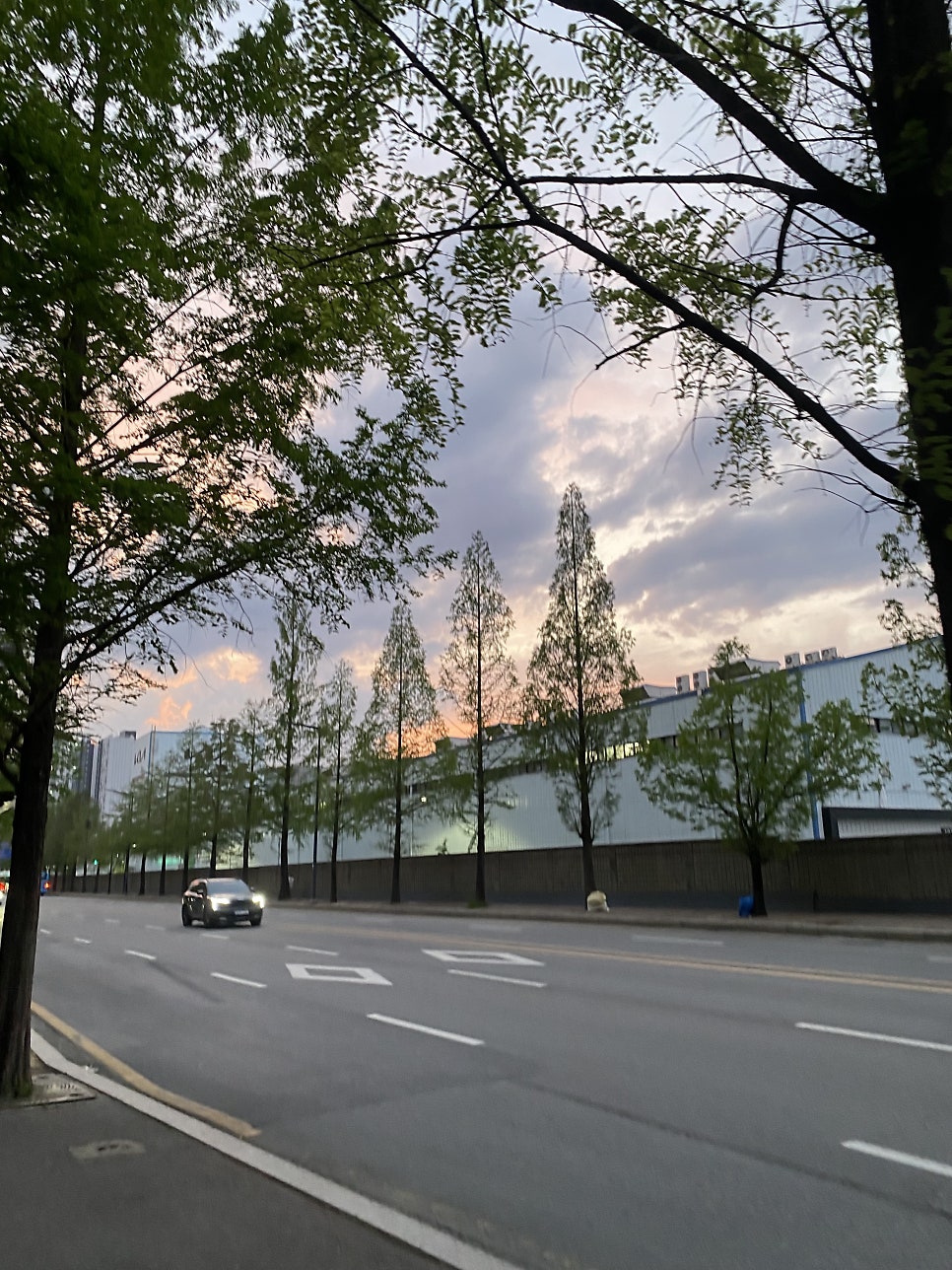 산뽀 사진 2
