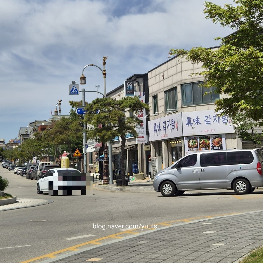 시골아낙 사진 3