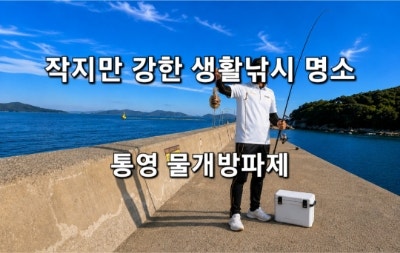 통영 물개방파제 낚시 포인트 총정리 : 초보자도 접근 쉬운 생활낚시 명소