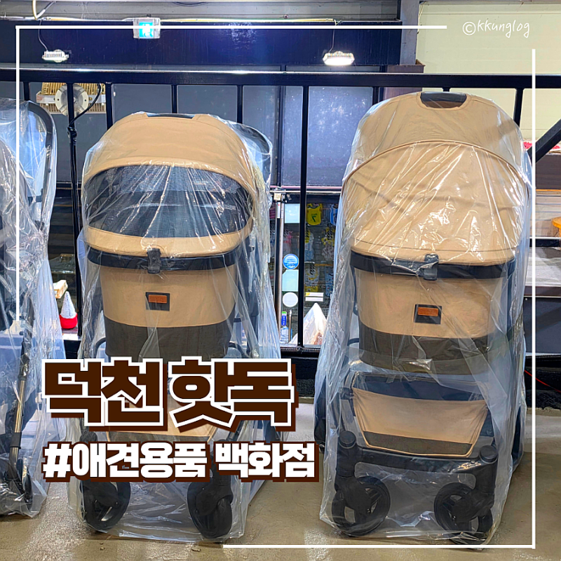 부산 북구 애견용품 할인매장 핫독 애견용품백화점 덕천점 방문후기