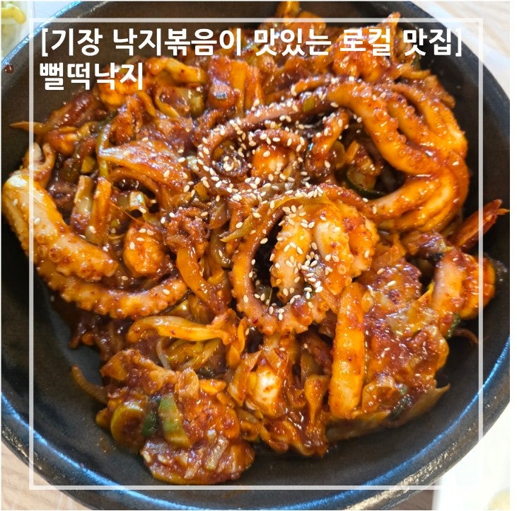 뻘떡낙지 사진 1