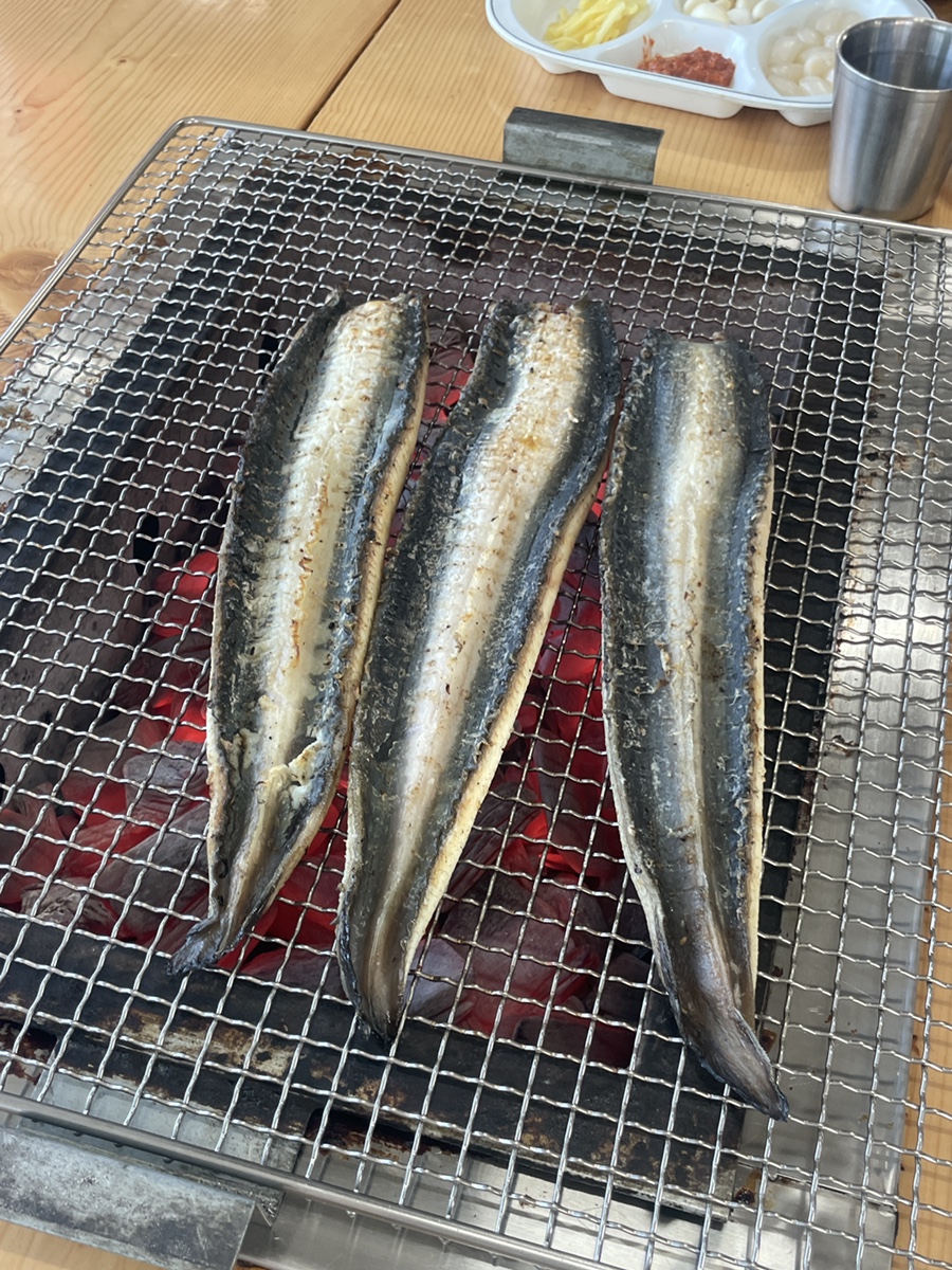 장어학교 사진 5