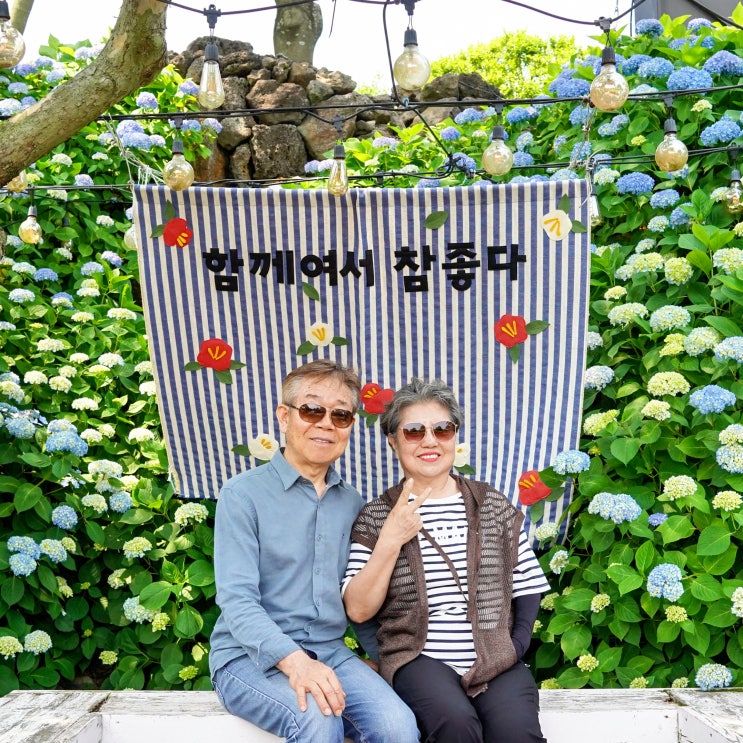 제주도 3박4일 여행 코스 수영장 호텔 추천