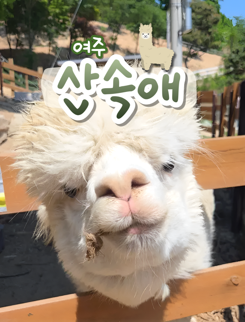 아이가 안 나오려고 버텼던 여주 체험농장, 산속애 다녀왔어요