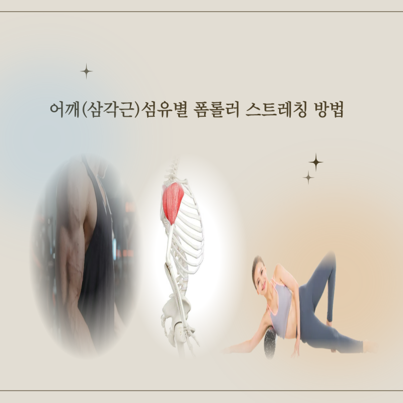 어깨 뻐근할 때 승모근만 푸시나요? 남들은 모르는 어깨(삼각근)부위별 폼롤러 스트레칭 방....