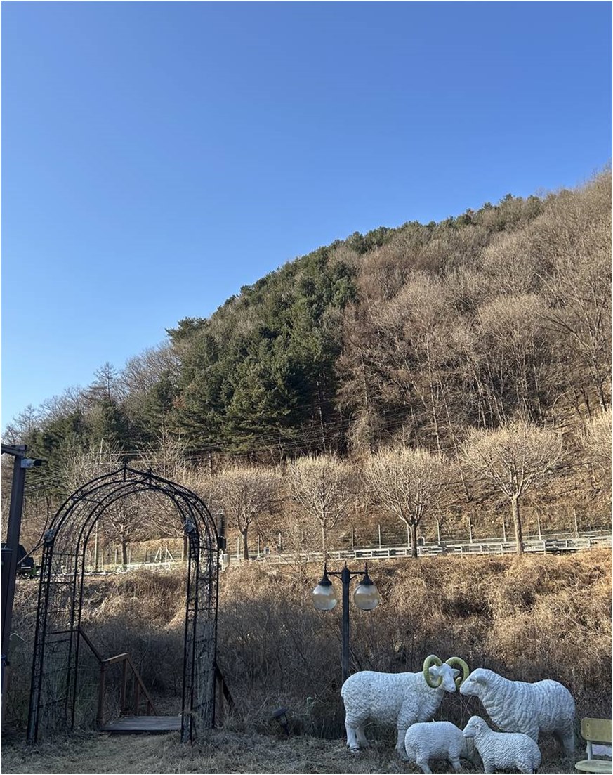 라비타키즈풀빌라 사진 5