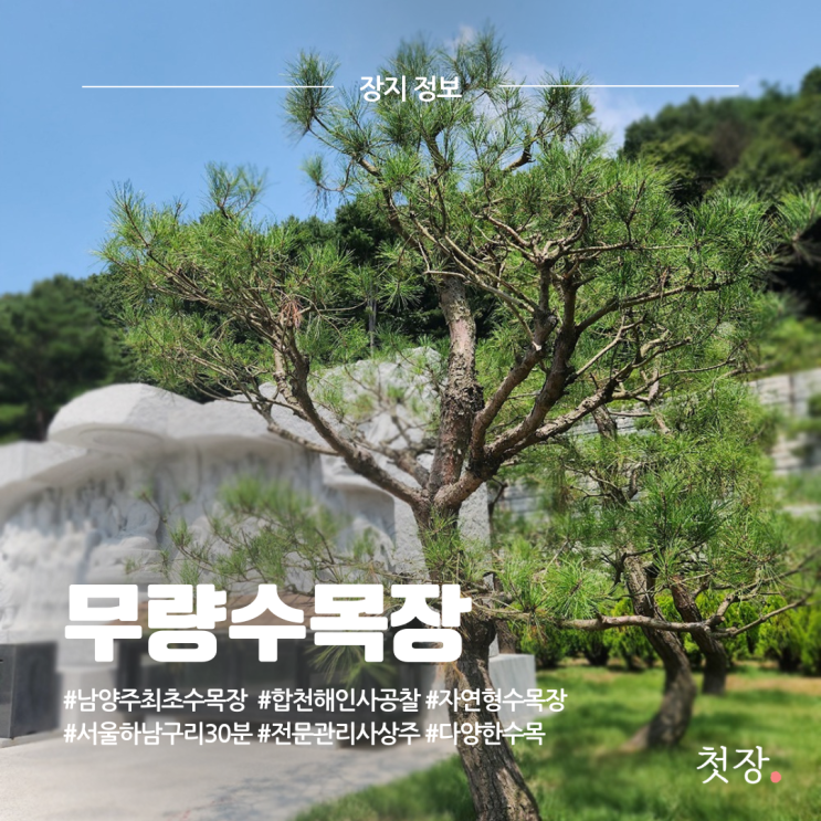  남양주 무량수목장 가격, 자연형 수목장 특징, 위치 정리 [첫장]
