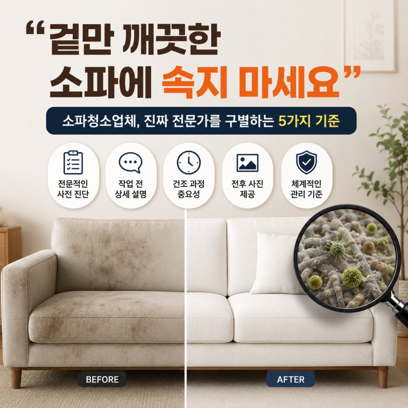 [하우스위프 소파케어 칼럼 시리즈 1]“겉만 깨끗한 소파에 속지 마세요” | 소파청소업체, ....