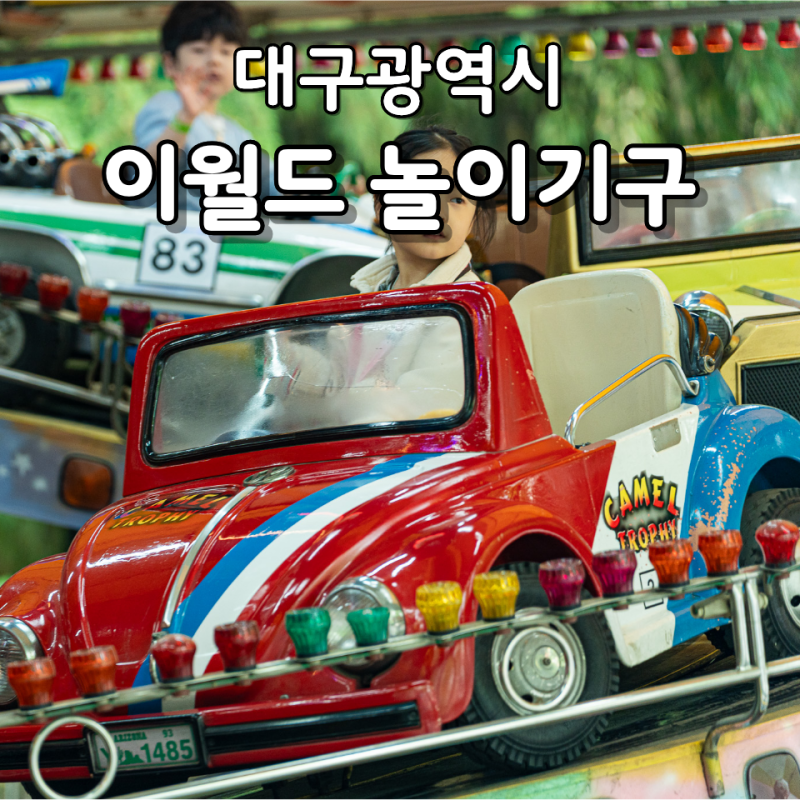 대구 이월드 놀이기구 종류 7세 아이랑 동선 추천