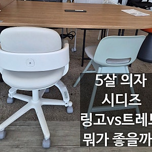 5살 시디즈 유아의자 구매 후기(링고 vs 트레보 비교)