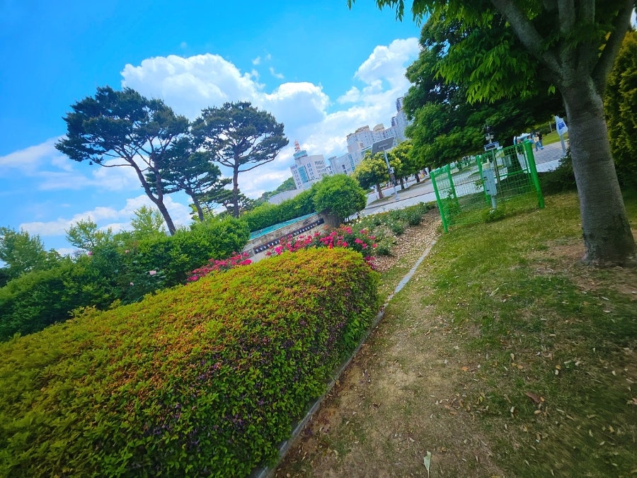 다원명가 사진 3